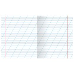 HATBER / Notebook GREEN cover 12 sheets, oblique line with margins, offset / 20 pcs.