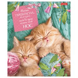 HATBER / Notebook А5, 40 sh., Bracket, cage, cardboard cover, "Life is not the same without a cat" / 10 pcs.