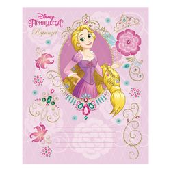 HATBER / Notebook 12 sh., Cage, foil stamping, "Princess-DISNEY" / 20 pcs.