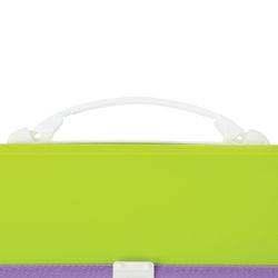 Cartella plastica BRAUBERG "Joy", A4 (330x245x35 mm), 13 scomparti, con bordo, etichette indice, verde chiaro