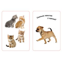 Card educational "Learn numbers", Kochetova N. And. Rosman