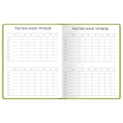 Альт / Agenda grade 1-11, similicuir (dur), gaufrage, dentelle, 48 l., VELVET FASHION Green / 10 pcs.