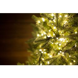 Spruce artificial light "Valerio" premium