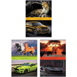 HATBER / Notebook A4 80 sh. bracket, cage, glossy lamination, "Luxury style" / 6 pcs.