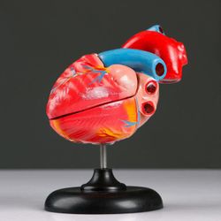 Сималенд / Layout "Human Heart" 14x10 cm