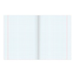 BRAUBERG / Notebook 12 sh., Gaiola, capa de papelão, BEARS / 20 un.
