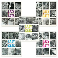 Альт / Notizbuch A5, 48 l., Halterung, Käfig, Hochglanzlack, "LAZY KITTENS" / 10 Stk.