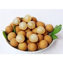 Longan or the "eye of the dragon"