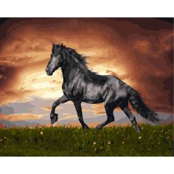 Опт-картина / Painting by numbers 40x50 Black horse