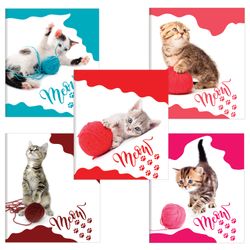 BRAUBERG / Notebook A5, 48 sh., ECO, cage, cardboard cover, CATS / 10 pcs.