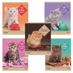 HATBER / Notebook А5, 48 sh., Bracket, line, cardboard cover, "KITTENS" / 10 pcs.