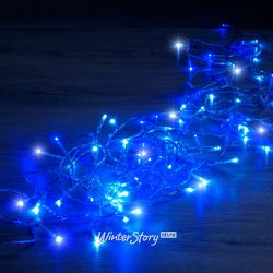 Kaemingk / 蓝色 LED 灯 6 m，透明 PVC，控制器，IP44