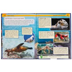 Умка / Umka / Encyclopedia "Seas and Oceans"