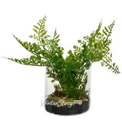 Kaemingk / Artificial fern adiantum in a glass vase 25 cm