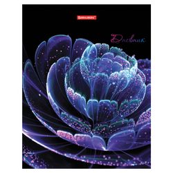 BRAUBERG / Diary grade 5-11, 48 sheets, hard, metallized cardboard, with a hint, "Flower" / 10 pcs.