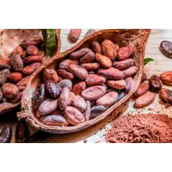 Cocoa beans