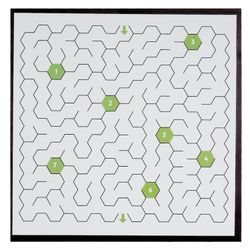 Set per esperimenti "Giovane fisico. Labirinto magnetico", INTELLECTICO