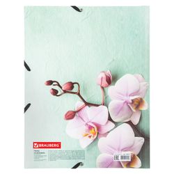 Carpeta con gomas elásticas BRAUBERG "FLOWER", A4, impresión a color, hasta 300 hojas, 500 micras