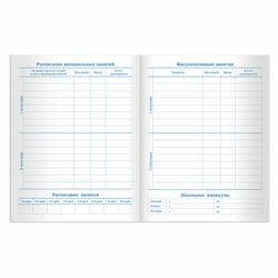 ПИФАГОР / Diary 1-11 grade 40 sheets, on a bracket, cardboard cover, WHITE / 10 pcs.