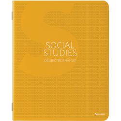 BRAUBERG / Notebook subject COLOR 48 sheets, matte lamination, varnish, 70 g / m2, SOCIETY, cage, tip / 10 pcs.