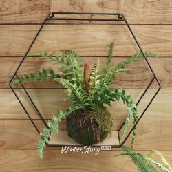 Kaemingk / Artificial fern in kokedam Filix-Femina 35 * 28 cm