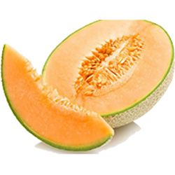 Cantaloupe