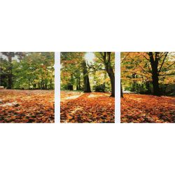 Опт-картина / Triptych by numbers Golden Autumn