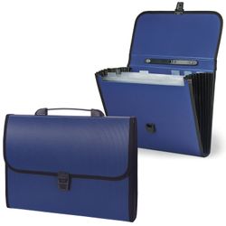 Portfolio plastic STAFF A4 (330х235х50 mm), 7 offices, with trim, index labels, blue