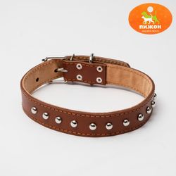 Пижон / Dude / Collar leather double-layer riveted, 60 х 3 cm mix of colors