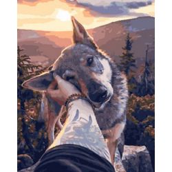 Опт-картина / Painting by numbers 40x50 Faithful friend