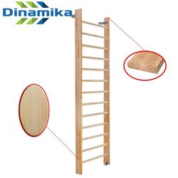 Dinamika / Gymnastic wall