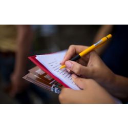 Surveys quantitative methods