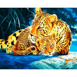 Опт-картина / Pintura por números 40x50 Bajo protección