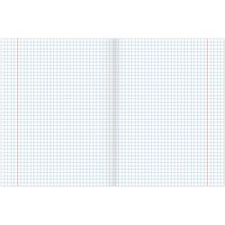 BRAUBERG / Notebook subject DARK 48 sheets, glossy varnish, GEOGRAPHY, cage, tip / 10 pcs.