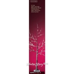 Kaemingk / Madeira Gramercy LED de 125 cm, 48 micro luzes LED brancas quentes, IP44