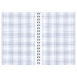 BRAUBERG / Notebook A4, 96 sheets, comb, cage, cardboard cover, "INDAY" / 8 pcs.