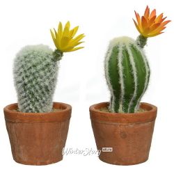 Kaemingk / Artificial potted cactus Cereus Sun Flower 19 cm