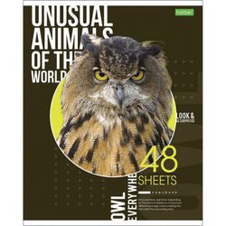 HATBER / Notebook А5 48 p. -ECO, bracket, cage, cardboard cover, "Animals" / 10 pcs.