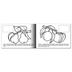 Coloring book A5, 4 sheets, HATBER, with stickers, My first lessons, "Fruits"