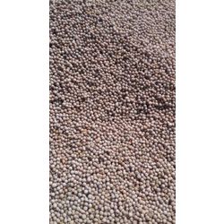 Feed grain from the manufacturer