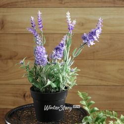 Kaemingk / Artificial flower in a pot Lavender Loddon Blue 25 cm
