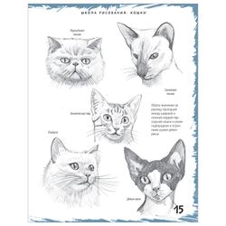 Drawing school. Cats, Bergin M.