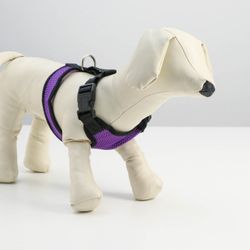 Пижон / Dude / Soft neoprene harness, size L, purple