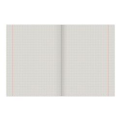 PROF-PRESS / Notebook STRIPED STYLE 48 sheets, cardboard cover, offset No. 2, INFORMATICS, cage / 10 pcs.