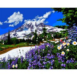 Опт-картина / Painting by numbers 40x50 Mountain meadow