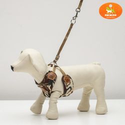 Пижон / Dude / Set "Reflex" size M, leash 95 cm, multi-size harness 20-58 cm, camouflage