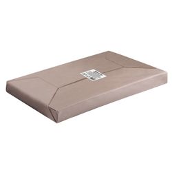 BRAUBERG / White cardboard A4 100 sheets