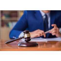 Representation in the courts of Georgia
