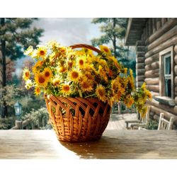 Опт-картина / Pintura por números 40x50 Crisantemos amarillos