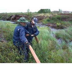 Field Pipeline Trunk Pipelines - PMRT